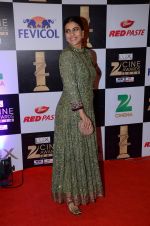 Kajol at zee cine awards 2016 on 20th Feb 2016